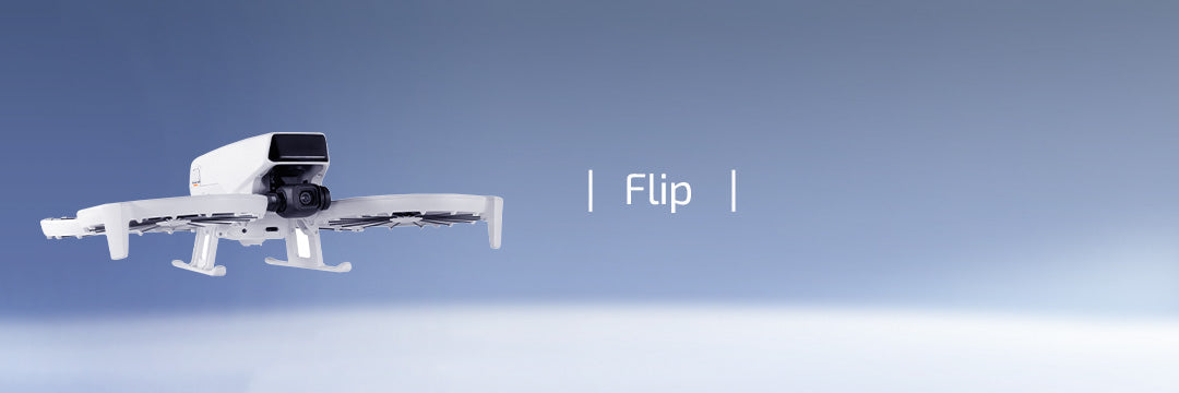 Flip
